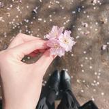 (Kategori: ) berada di . Dikirim oleh prelovedby_vier (ID iklan 1364999900, Gambar 1). Deskripsi: .