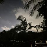 (Category: ) located in . Submitted by rajeevg_d (Listing ID 1442554310, Image 1). Description: .