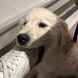 (Category: ) located in . Submitted by phhhyyyy (Listing ID 1383237083, Image 1). Description: .