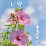 由 sasa5688 (刊登 ID 1382801421，圖片 1) 提交，位於 的 (類別：)，說明：。