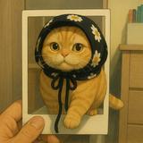 由 meowmeow3c (刊登 ID 1385590587，圖片 1) 提交，位於 的 (類別：)，說明：。