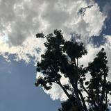 (Category: ) located in . Submitted by ellipse.cio (Listing ID 1446822724, Image 1). Description: .