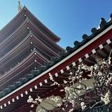 由 qannity092 (刊登 ID 1382096244，圖片 1) 提交，位於 的 (類別：)，說明：。