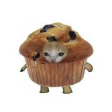 (Kategori: ) berada di . Dikirim oleh 70.muffins (ID iklan 1368084823, Gambar 1). Deskripsi: .