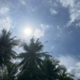 (Category: ) located in . Submitted by narakfa (Listing ID 1385466715, Image 1). Description: .