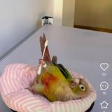(Category: ) located in . Submitted by tichy_touchy_i_love_my_camie (Listing ID 1362855753, Image 1). Description: .