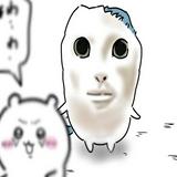 (Category: ) located in . Submitted by lynnvrs (Listing ID 1365366445, Image 1). Description: .