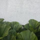 (Kategori: ) berada di . Dikirim oleh preloved.dhi (ID iklan 1364265513, Gambar 1). Deskripsi: .