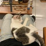 (Kategori: ) berada di . Dikirim oleh sulkhanmaul (ID iklan 1367118742, Gambar 1). Deskripsi: .