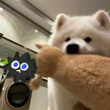 由 7q9dpcrgv708295 (刊登 ID 1364562592，圖片 1) 提交，位於 的 (類別：)，說明：。