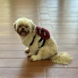 (Category: ) located in . Submitted by nanceg (Listing ID 1386280879, Image 1). Description: .