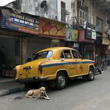 (Category: ) located in . Submitted by mohit87 (Listing ID 1386542860, Image 1). Description: .