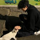 （分類：）位於 。 由 tsui____________ 提交（商品編號 1342418821，圖片 1）。簡介： 。