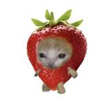 (Category: ) located in . Submitted by sxberry (Listing ID 1385788150, Image 1). Description: .
