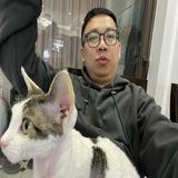 （分類：）位於 。 由 zevry 提交（商品編號 1384907255，圖片 1）。簡介： 。