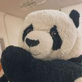 由 cheli.linus.little (刊登 ID 1365175645，圖片 1) 提交，位於 的 (類別：)，說明：。