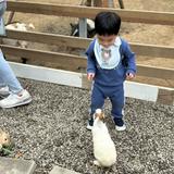 由 ching_8613 (刊登 ID 1373448459，圖片 1) 提交，位於 的 (類別：)，說明：。