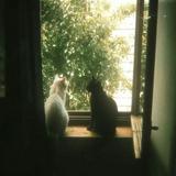 (Category: ) located in . Submitted by d00kkii (Listing ID 1381003182, Image 1). Description: .