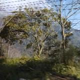 (Category: ) located in . Submitted by hondakia (Listing ID 1370969492, Image 1). Description: .