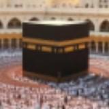(Category: ) located in . Submitted by laptopboss83319 (Listing ID 1371521249, Image 1). Description: .