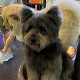(Category: ) located in . Submitted by shelley_tan (Listing ID 1360005602, Image 1). Description: .