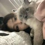 （分類：）位於 。 由 mokhailey 提交（商品編號 1383812656，圖片 1）。簡介： 。