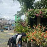 (Kategori: ) berada di . Dikirim oleh prolovebysan (ID iklan 1373340834, Gambar 1). Deskripsi: .