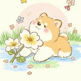 (Category: ) located in . Submitted by rintsuki66 (Listing ID 1368545625, Image 1). Description: .