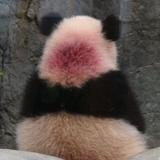 （分類：）位於 。 由 rosanneeeee 提交（商品編號 1264116175，圖片 1）。簡介： 。
