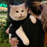 (Kategori: ) berada di . Dikirim oleh jualan.boneka169 (ID iklan 1364358363, Gambar 1). Deskripsi: .