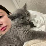 (Category: ) located in . Submitted by pawfurrycat (Listing ID 1385458415, Image 1). Description: .