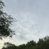 (Category: ) located in . Submitted by sun_sets (Listing ID 1379858372, Image 1). Description: .