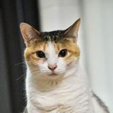 (分類:)位於 。 由 kulu_lu 提交(商品編號 1457054176,圖片 1)。簡介: 。