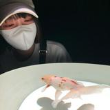 由 mie0606 (刊登 ID 1366417288，圖片 1) 提交，位於 的 (類別：)，說明：。