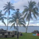 (Category: ) located in . Submitted by d1lpp (Listing ID 1365104509, Image 1). Description: .