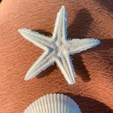 (Category: ) located in . Submitted by missiday95 (Listing ID 1382140374, Image 1). Description: .