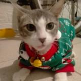 (Category: ) located in . Submitted by serenityphil (Listing ID 1430318341, Image 1). Description: .