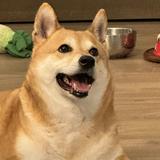 頭像