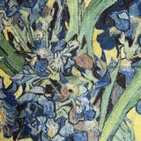 (Kategori: ) berada di . Dikirim oleh thingstoletgogh (ID iklan 1365866397, Gambar 1). Deskripsi: .