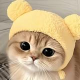 （分類：）位於 。 由 ttpytwc 提交（商品編號 1365872948，圖片 1）。簡介： 。