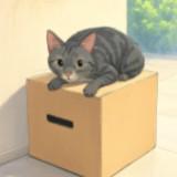 (Category: ) located in . Submitted by igngin (Listing ID 1270808522, Image 1). Description: .