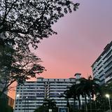 (Category: ) located in . Submitted by kzlop (Listing ID 1375310437, Image 1). Description: .
