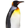 (Category: ) located in . Submitted by penguin.555 (Listing ID 1443792173, Image 1). Description: .