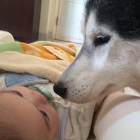 (分類:)位於 。 由 4our_1114 提交(商品編號 1466740125,圖片 1)。簡介: 。
