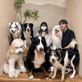 由 hnrry941014 (刊登 ID 1385417650，圖片 1) 提交，位於 的 (類別：)，說明：。