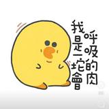 由 zucca31 (刊登 ID 1384129051，圖片 1) 提交，位於 的 (類別：)，說明：。