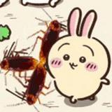 由 rextpt (刊登 ID 1367011100，圖片 1) 提交，位於 的 (類別：)，說明：。