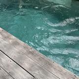 (Category: ) located in . Submitted by llmans (Listing ID 1340993893, Image 1). Description: .