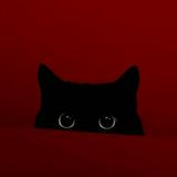 （分類：）位於 。 由 kaaayzzn 提交（商品編號 1354491536，圖片 1）。簡介： 。