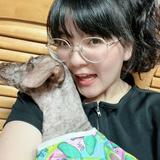 由 niko_market (刊登 ID 1383273765，圖片 1) 提交，位於 的 (類別：)，說明：。